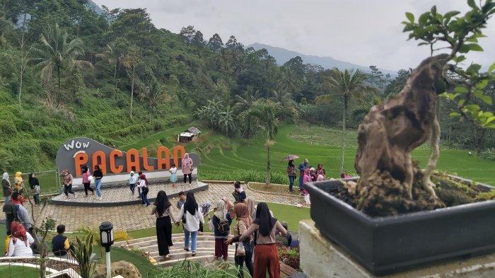 Desa Wisata Halal Berbasis Alam di Kabupaten Pekalongan